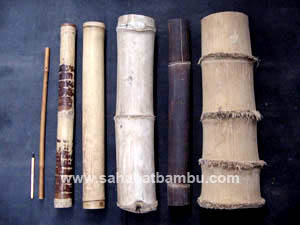 jenis-jenis-bambu