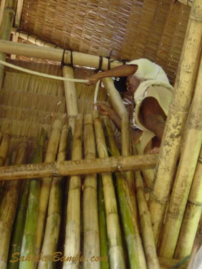 pengawetan bambu
